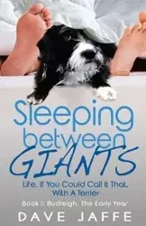 Sleeping between Giants - Dave Jaffe