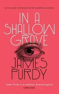 In a Shallow Grave (Valancourt 20th Century Classics) - James Purdy