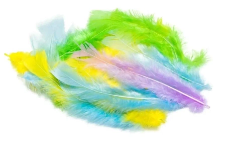 Pióra pastelowe 3g - Brewis