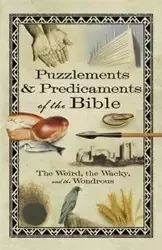 Puzzlements & Predicaments of the Bible - Linda Washington