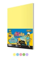 Papier ksero A4 80g 5 kolorów 100 arkuszy pastel - Alfa Pastello