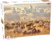 Puzzle Zebra Herd 500 elementów - Tactic
