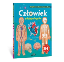 Człowiek od stóp do głów - David Hawcock