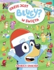 Gdzie jest w święta Bluey? Szukaj i znajdź - praca zbiorowa