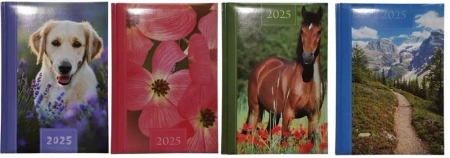 Kalendarz książkowy 2025 A5 Artsezon wielokolorowy