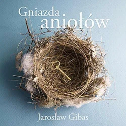 audiobook Gniazda aniołów - Jarosław Gibas