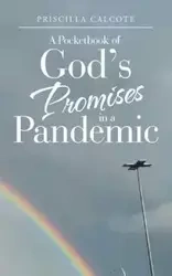 A Pocketbook of God's Promises in a Pandemic - Priscilla Calcote