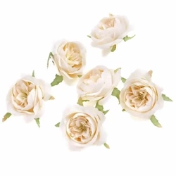 Główki kwiatowe kamelia ecru 5cm 6szt - Dalprint