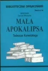 Biblioteczka opracowań nr 046 Mała Apokalipsa - Danuta Wilczycka