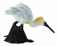 Ptak Warzęcha mała idąca - Collecta