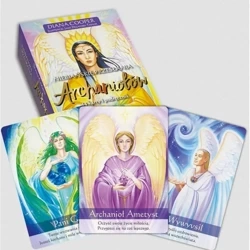 Niebiańskie Przesłania Archaniołów - książka - Diana Cooper, Jane Taylor Delaford