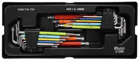 C1209 WKŁAD - IMBUSY 1.5-10 MM + TORX T10-T50, S2 18 ELEM - RICHMANN
