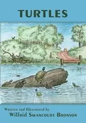 Turtles - Bronson Wilfrid Swancourt