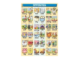 Plansza edukacyjna Angielski. Opposites - Visual System
