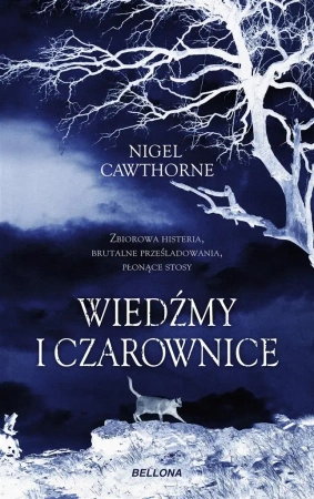 Wiedźmy i czarownice - Nigel Cawthorne, Joanna Tyczyńska