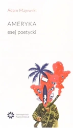 Ameryka esej poetycki - Adam Majewski