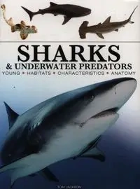 Sharks & Underwater Predators [mini edition] - Jackson Tom