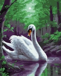 Malowanie po numerach - Magiczny łabędź 40x50cm - Qbee