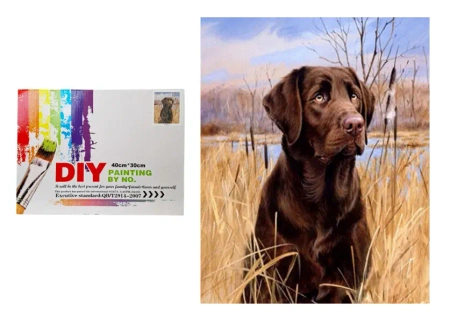 Malowanie po numerach Pies w tataraku - SWEDE