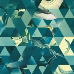 Karnet kwadrat z kopertą Sealife - Museums & Galleries