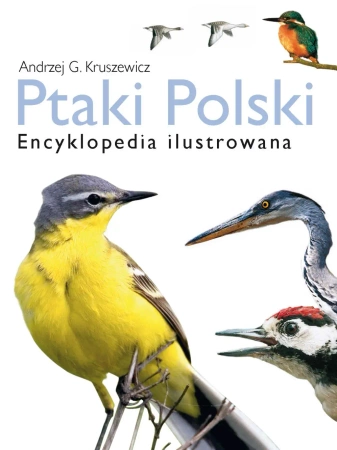 eBook Ptaki Polski. Encyklopedia ilustrowana - Andrzej G. Kruszewicz