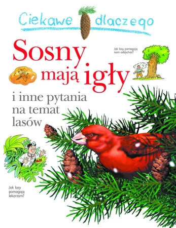 Ciekawe dlaczego sosny maja igły? - praca zbiorowa