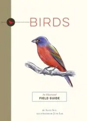 Birds | Softcover - Sun Alice