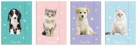 Teczka z gumką A4+ LUX UV Puppy Sign (10szt) - INTERDRUK