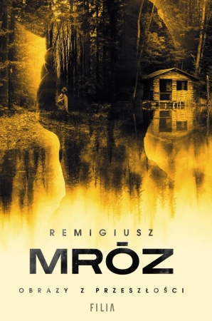 Obrazy z przeszłości - Remigiusz Mróz