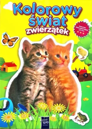 Kolorowy świat zwierzątek. Dwa kotki - praca zbiorowa