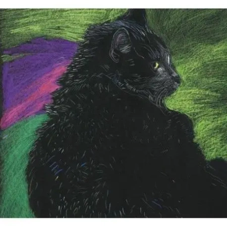 Notes. Kot zielony w.2023 - Emg