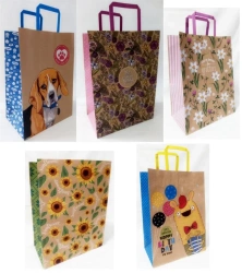 Torebka kolor KRAFT 250x345x150 - Fresh