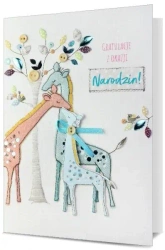 Karnet B6 Narodziny - Pan Dragon