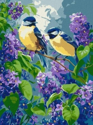 Malowanie po numerach - Wiosenny duet 30x40cm - Ideyka