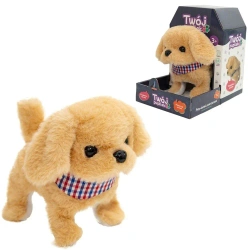 Twój pupilek piessek - Askato