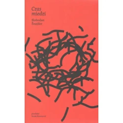 Czas miedzi - Snajder Slobodan