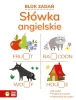 Blok zadań. Słówka angielskie - Paulina Piasecka