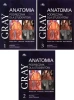 Anatomia Gray Podręcznik dla studentów Tom 1-3 - R.L. Drake, A.W. Vogl, A.W.M. Mitchell