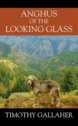 Anghus of the Looking Glass - Timothy Gallaher