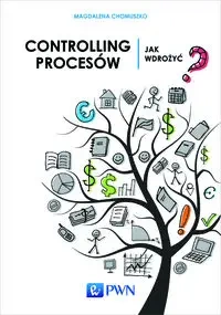 Controlling procesów. Jak wdrożyć? - Magdalena Chomuszko