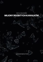 Miliony rozbitych kawałków - Rafał Wicijowski
