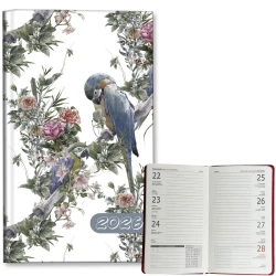 Kalendarz 2026 A6 tygodniowy Papugi Boho - EV-Corp