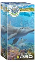Puzzle 250 Dolphins 8251-5560 - Eurographics
