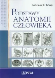 Podstawy anatomii człowieka. Podr. dla studentów - Bogusław Gołąb