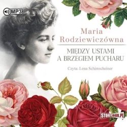 Między ustami a brzegiem pucharu audiobook - Maria Rodziewiczówna
