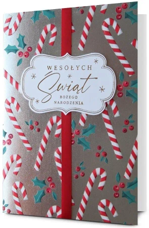 Karnet Boże Narodzenie HM200-3239 - Pan Dragon