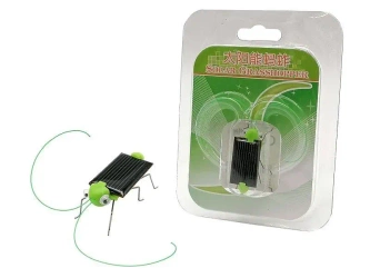 Konik polny solarny - ADAR