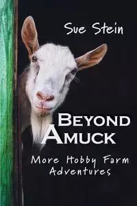 Beyond Amuck - Sue Stein