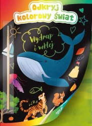 Kolorowanka odkryj kolorowy świat - praca zbiorowa