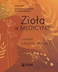 Zioła w Medycynie. Choroby układu ruchu - Ilona Kaczmarczyk-Sedlak, Arkadiusz Ciołkowski